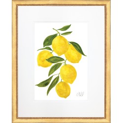 KS- LEMON 3